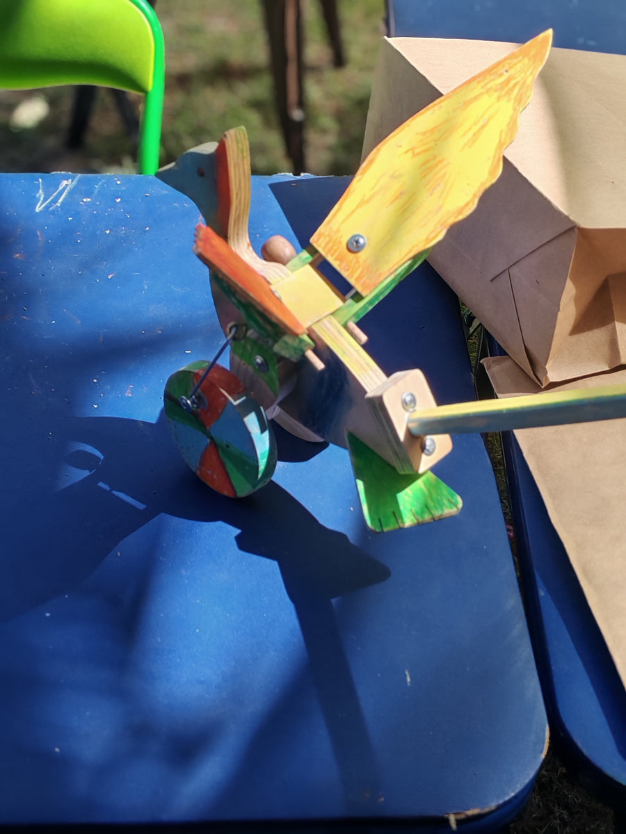TALLER PAJAROS CARPINTEROS