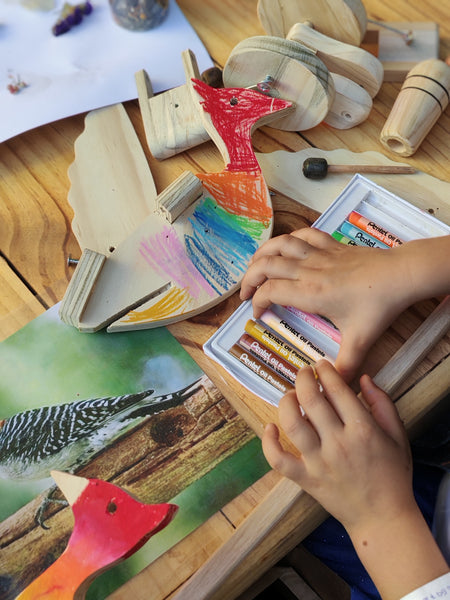 TALLER PAJAROS CARPINTEROS