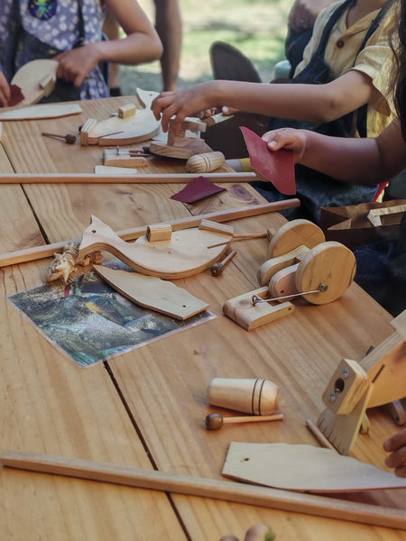 TALLER PAJAROS CARPINTEROS